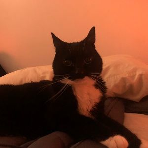 Meet your Posher, Erin